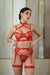 Valora 4-Piece Harness Lingerie Set – Red-Fascinating_Nights